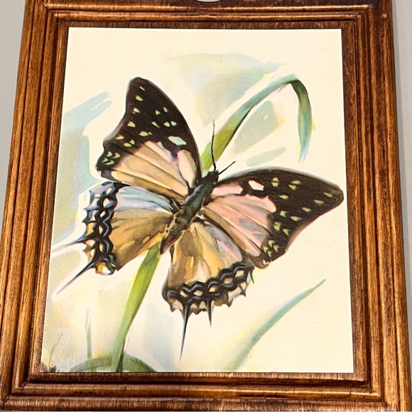 3 Charming Vintage Arthur A. Kaplan Butterflies on Wood prints - Picture 10 of 16